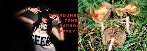 дживик Белокуриха